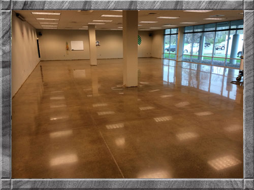 concrete polish floor